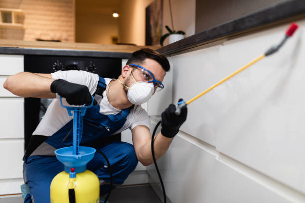 Best Residential Pest Control  in South Oroville, CA