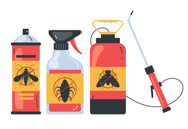 Best Spider Control Near Me  in South Oroville, CA