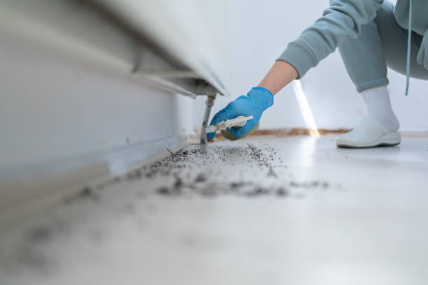 Best Commercial Pest Control Services  in South Oroville, CA