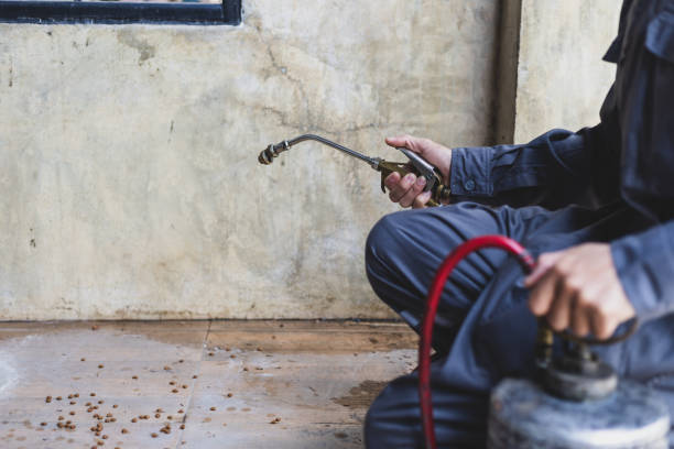 Professional Pest Control in South Oroville, CA